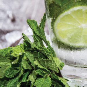 Frozen Mojito
