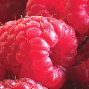 Raspberry